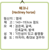 ũ (Hackney horse) :ϴܳ