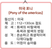 ̱  (Pony of the americas) :ϴܳ
