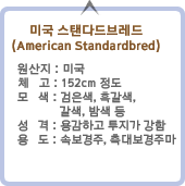 ̱ Ĵٵ극 (American Standardbred) :ϴܳ