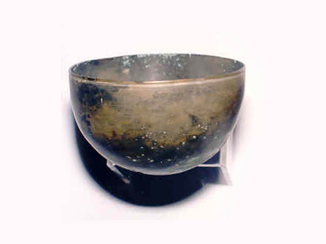 û(ة߾) STEM CUP 