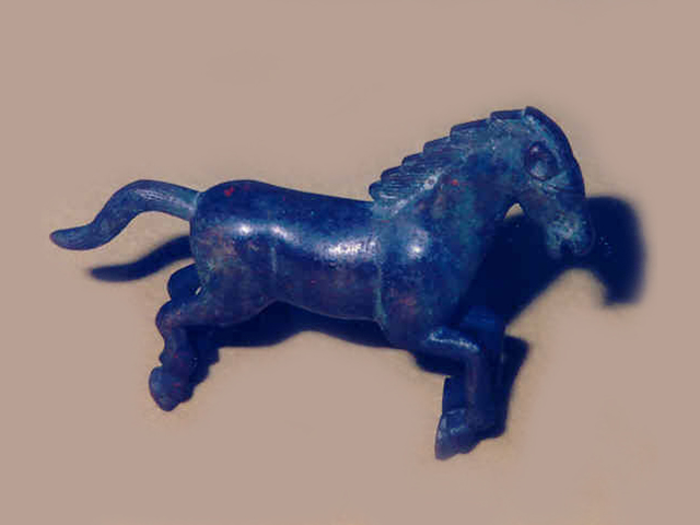 û(ة) HORSE 