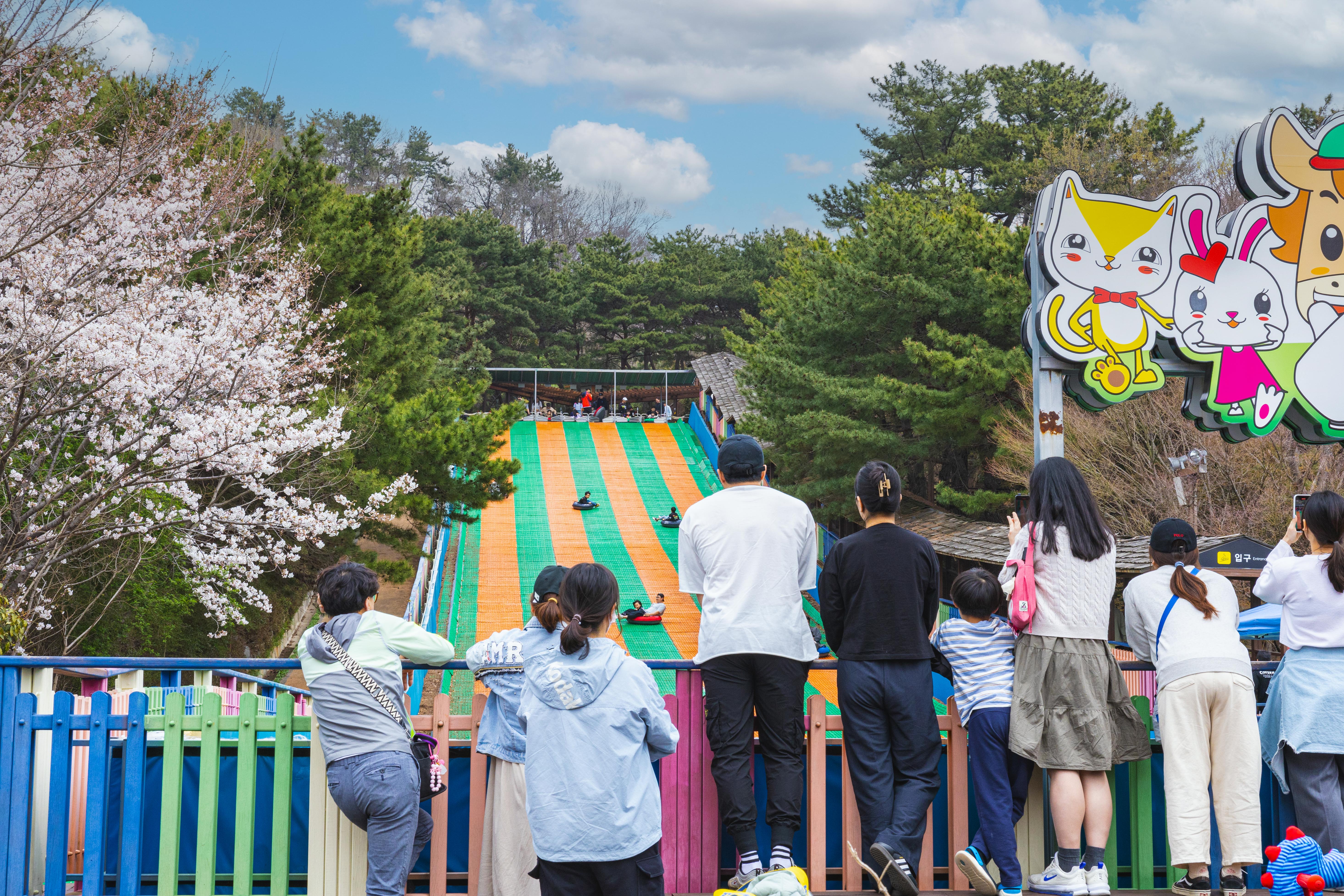 슬레드힐 이용고객의 모습을 바라보는 사람들의 뒷모습 이미지
