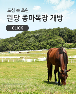 도심속 초원 원당 종마목장 개방 click!
