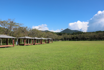 가족공원 잔디공원 내부 사진